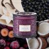 imageLA JOLIE MUSE Eucalyptus ampamp Alpine Sage Candle Scented Candles for Home Large 2Wick Soy Candles Luxury Jar Candle Gifts for Women ampamp Men 60 Hours Long Burning 12ozVanilla Plum Sky