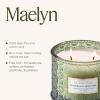imageLA JOLIE MUSE Eucalyptus ampamp Alpine Sage Candle Scented Candles for Home Large 2Wick Soy Candles Luxury Jar Candle Gifts for Women ampamp Men 60 Hours Long Burning 12ozEucalyptus  Alpine Sage