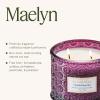 imageLA JOLIE MUSE Eucalyptus ampamp Alpine Sage Candle Scented Candles for Home Large 2Wick Soy Candles Luxury Jar Candle Gifts for Women ampamp Men 60 Hours Long Burning 12ozVanilla Plum Sky