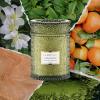 imageLA JOLIE MUSE Sparkling Cider Mule Candle  Apple Cider Orange ampamp Amber  19 oz Festive Fall Candle  Wooden Wick  Clean Burn ampamp Vibrant Scent  Fun Gift for Hosts ampamp Fall TablescapesMandarin Matcha