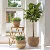 imageLA JOLIE MUSE Natural Seagrass Large Planter Plant Pots Cover Indoor Planters Flower Pots 135129 inch Pack 3Lbeige