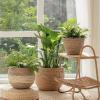 imageLA JOLIE MUSE Natural Seagrass Large Planter Plant Pots Cover Indoor Planters Flower Pots 135129 inch Pack 3Lbeige