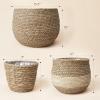 imageLA JOLIE MUSE Natural Seagrass Large Planter Plant Pots Cover Indoor Planters Flower Pots 135129 inch Pack 3Lbeige