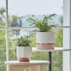 imageLA JOLIE MUSE White Ceramic Flower Pot Garden Planters 67  54 Inch Indoor Plant Containers in a Marble Ink Pattern with Gold and Grey Detailing6754pink
