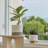 imageLA JOLIE MUSE White Ceramic Flower Pot Garden Planters 67  54 Inch Indoor Plant Containers in a Marble Ink Pattern with Gold and Grey DetailingMarble