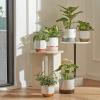 imageLA JOLIE MUSE White Ceramic Flower Pot Garden Planters 67  54 Inch Indoor Plant Containers in a Marble Ink Pattern with Gold and Grey DetailingMarble