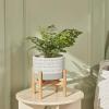 imageLA Jolie Muse Ceramic Plant Pot with Stand  73 Inch Boho Style Decorative Cylinder Flower Pot with Wood Planter Holder for Indoor Slate Blue ampamp WhiteZ Blue