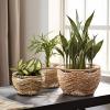 imageLa Jole Muse Seagrass Planter Basket Indoor Flower Pots Cover Plant Containers Indoor Planters Flower Pots with Iron Stand Natural 3Pack102quot87quot67quot