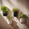 imageLa Jolie Maison Wall Hanging Planters for Indoor PlantsHanging Flower Pots for Air Plants Succulent Set of 2 6 Inch Concrete GrayBlack