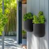 imageLa Jolie Maison Wall Hanging Planters for Indoor PlantsHanging Flower Pots for Air Plants Succulent Set of 2 6 Inch Concrete GrayConcrete Gray
