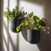 imageLa Jolie Maison Wall Hanging Planters for Indoor PlantsHanging Flower Pots for Air Plants Succulent Set of 2 6 Inch Concrete GrayGray
