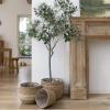 imageLA JOLIE MUSE Natural Seagrass Large Planter Plant Pots Cover Indoor Planters Flower Pots 135129 inch Pack 3Lbeige