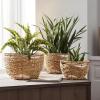 imageLa Jole Muse Seagrass Planter Basket Indoor Flower Pots Cover Plant Containers Indoor Planters Flower Pots with Iron Stand Natural 3Pack102quot87quot67quot