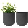 imageLa Jolie Maison Wall Hanging Planters for Indoor PlantsHanging Flower Pots for Air Plants Succulent Set of 2 6 Inch Concrete GrayConcrete Gray