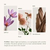 image:imageLA JOLIE MUSE Santal Ros Reed Diffuser Scented Room Diffuser Set for Home  Luxury Stick Diffusers Fragrance Oil Diffuser for Bathroom Bedroom Up to 4 months Sandalwood Rose Made in USA 34 fl oz