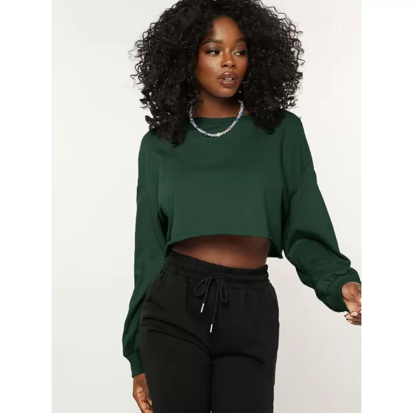 SweatyRocks Women's Casual Long Sleeve Raw Hem Pullover Crop Tops Sweatshirts