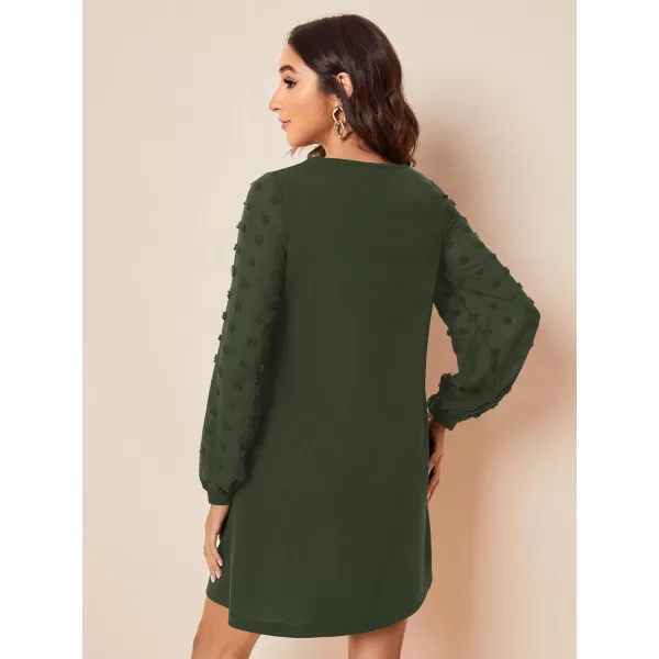 SweatyRocks Women's Elegant Mesh Contrast Long Sleeve A Line Mini Short Dress