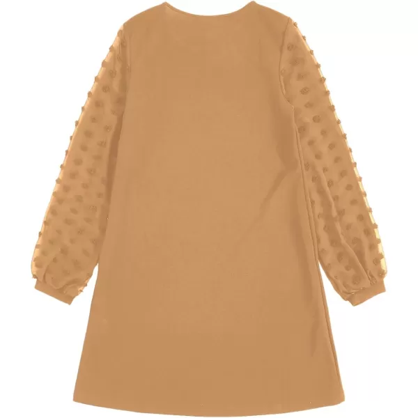SweatyRocks Women's Elegant Mesh Contrast Long Sleeve A Line Mini Short Dress