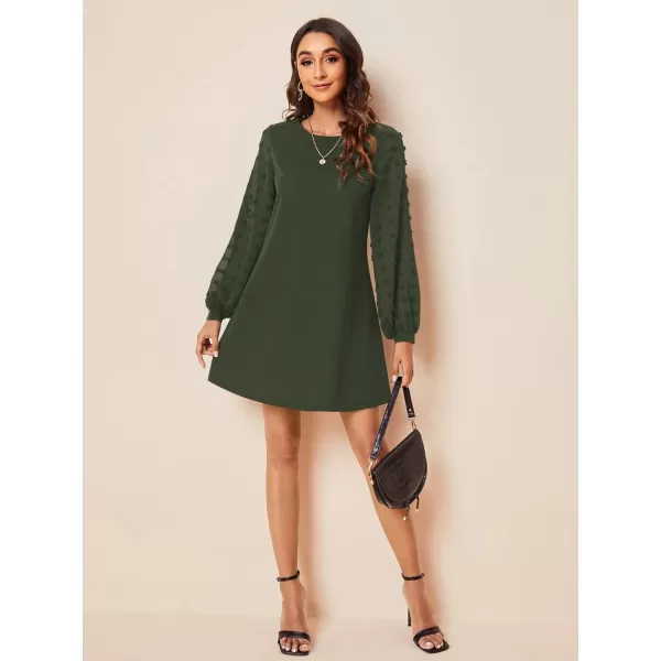 SweatyRocks Women's Elegant Mesh Contrast Long Sleeve A Line Mini Short Dress