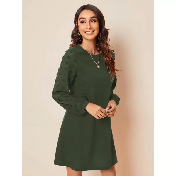SweatyRocks Women's Elegant Mesh Contrast Long Sleeve A Line Mini Short Dress