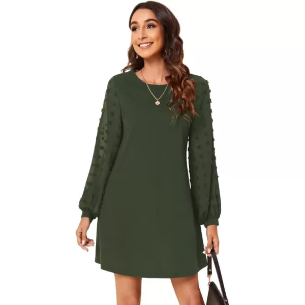 SweatyRocks Women's Elegant Mesh Contrast Long Sleeve A Line Mini Short Dress