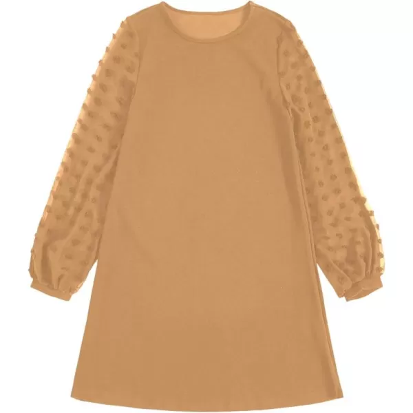 SweatyRocks Women's Elegant Mesh Contrast Long Sleeve A Line Mini Short Dress