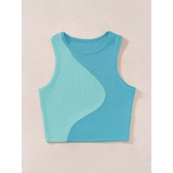 SweatyRocks Women's Summer Ribbed Knit Sleeveless Vest Color Block Crop Tank Top