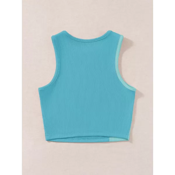 SweatyRocks Women's Summer Ribbed Knit Sleeveless Vest Color Block Crop Tank Top