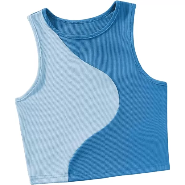 SweatyRocks Women's Summer Ribbed Knit Sleeveless Vest Color Block Crop Tank Top