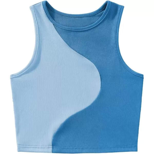 SweatyRocks Women's Summer Ribbed Knit Sleeveless Vest Color Block Crop Tank Top