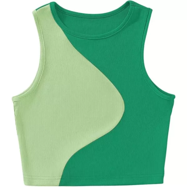 SweatyRocks Women's Summer Ribbed Knit Sleeveless Vest Color Block Crop Tank Top