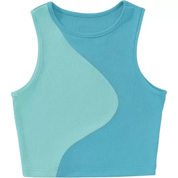 SweatyRocks Women's Summer Ribbed Knit Sleeveless Vest Color Block Crop Tank Top