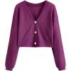 Plain Purple