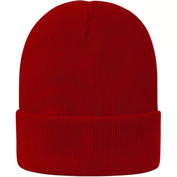 Zando Womens Satin Lined Beanie for Women Knit Beanies Womens Winter Beanies for Women Hats for Men Cuffed Skull Cap