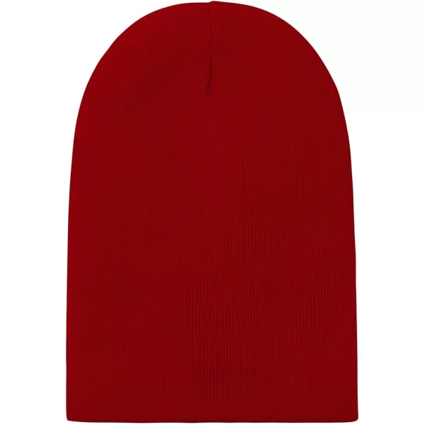 Zando Womens Satin Lined Beanie for Women Knit Beanies Womens Winter Beanies for Women Hats for Men Cuffed Skull Cap