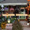 imageZando Kids Witch Hat for Women Lace Girls Halloween Witches Hat for Decoration Witch Costume for Halloween Cosplay PartyLace Black Starlight  Orange