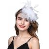 imageZando Fascinators for Women Tea Party Hat Kentucky Derby Hats Flower Mesh Feathers Headband Headwear Hair Clip for GirlsWhite