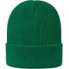 imageZando Womens Satin Lined Beanie for Women Knit Beanies Womens Winter Beanies for Women Hats for Men Cuffed Skull CapApple Green