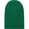 imageZando Womens Satin Lined Beanie for Women Knit Beanies Womens Winter Beanies for Women Hats for Men Cuffed Skull CapApple Green