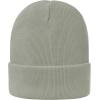 imageZando Womens Satin Lined Beanie for Women Knit Beanies Womens Winter Beanies for Women Hats for Men Cuffed Skull CapLight Grey